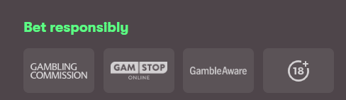 campeonbet Casino Philippines responsible gambling badge